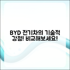 BYD 전기차의 기술적 강점, 무엇일까요?