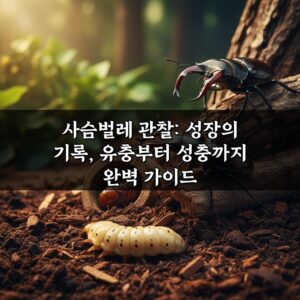 사슴벌레 관찰: 성장의 기록, 유충부터 성충까지 완벽 가이드