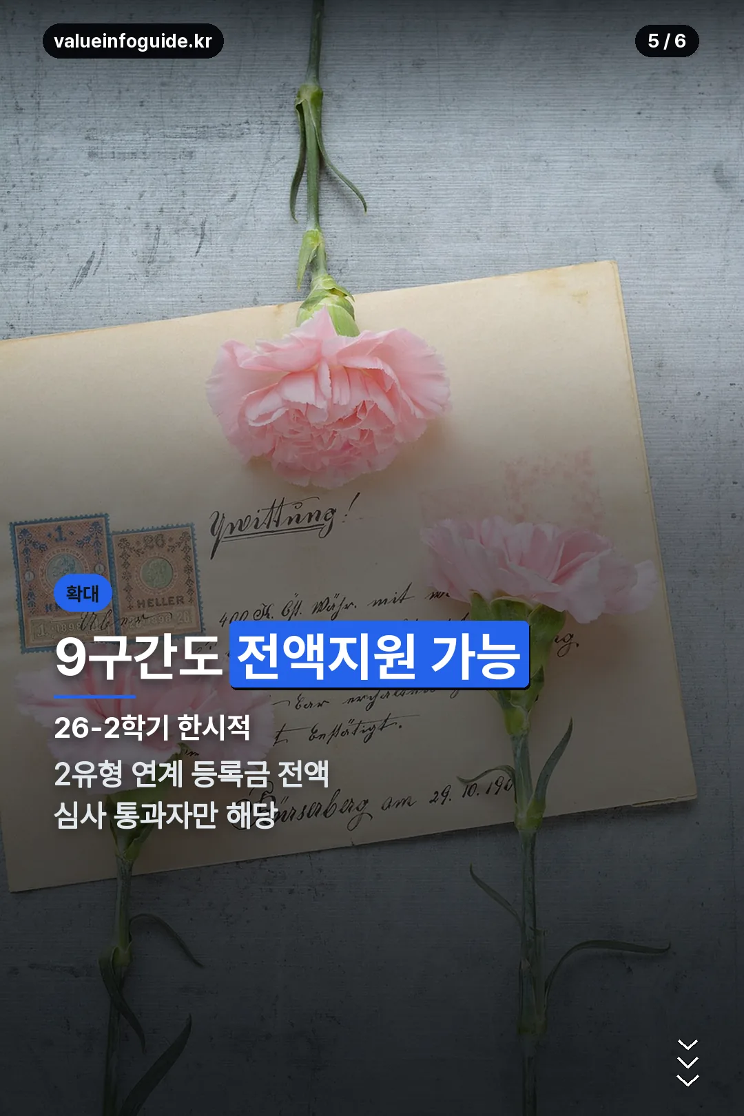 9구간 확대 지원